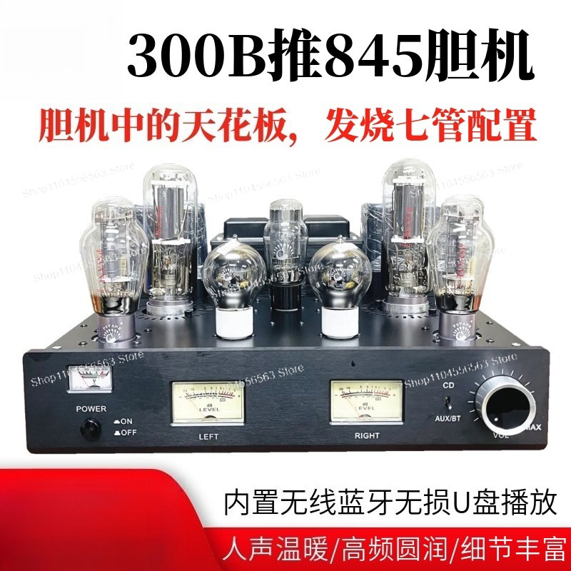 300B Push 845 Tube Amplifier,  - Class A Tube Amplifier 845 ulasan dan harga