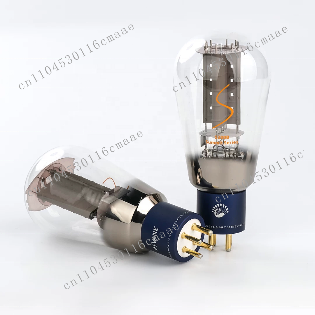 Summit 300B Matched Pair Vacuu - 300B Vacuum Tube Matched Pair ulasan dan harga