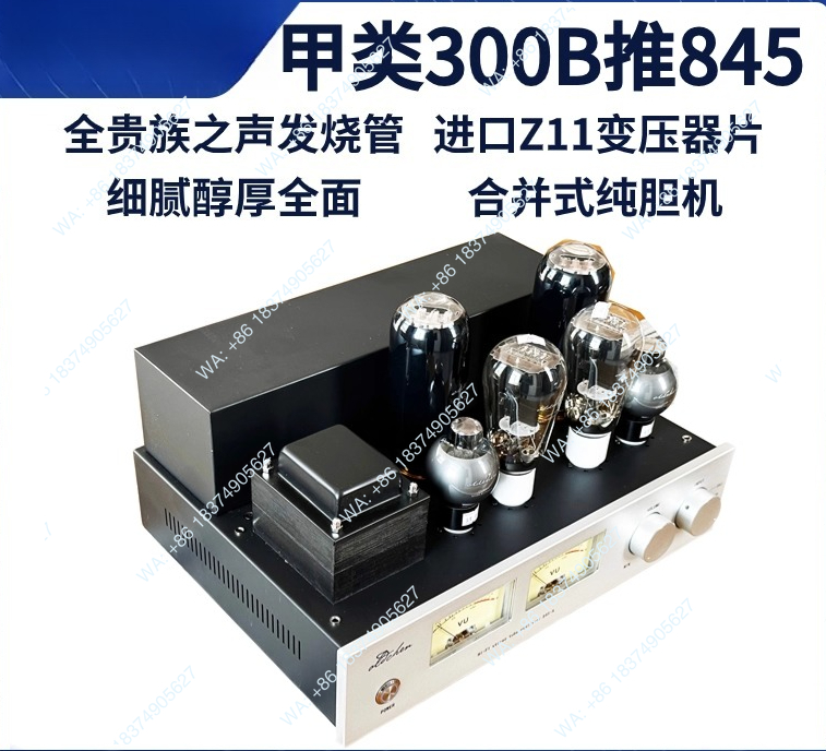 300B pushes 845 high-power Cla - Class A Tube Amplifier 845 ulasan dan harga