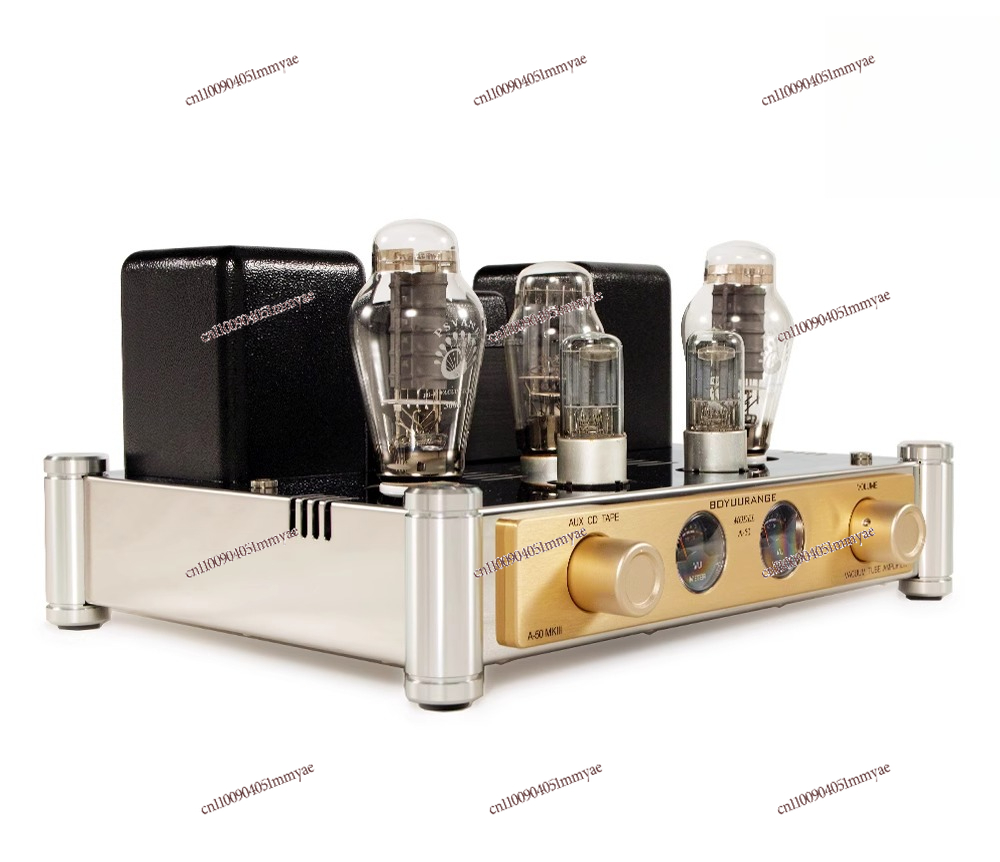 300B bile machine pure power a - Tube Amplifier 300B Single Ended ulasan dan harga