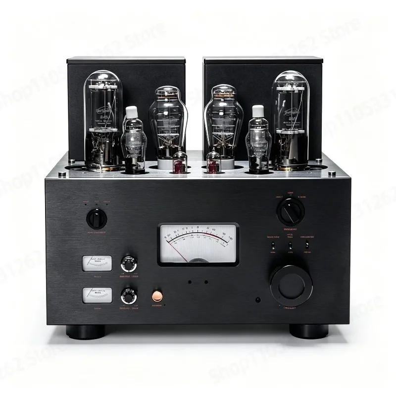 LM-219IA 845 Vacuum Tube Integ - Class A Tube Amplifier 845 ulasan dan harga