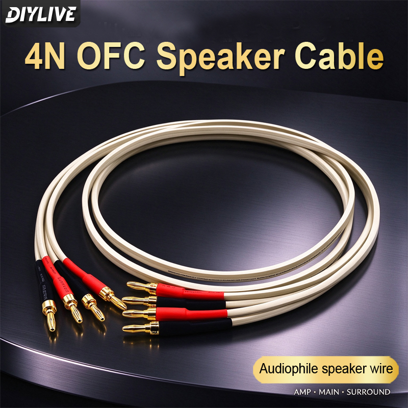 4N Oxy-Free Copper Power Ampli - Tube Headphone Amplifier Otl ulasan dan harga